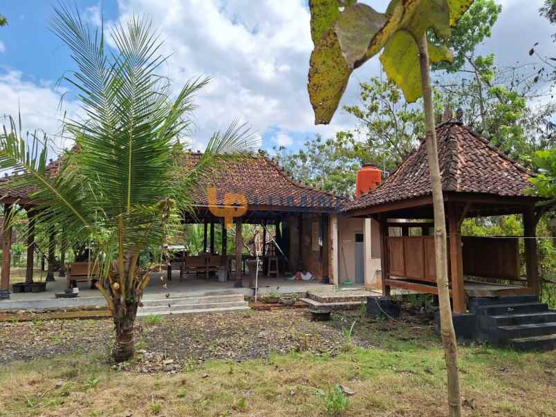 rumah semi villa joglo dengan kolam renang