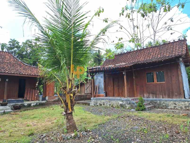 rumah semi villa joglo dengan kolam renang