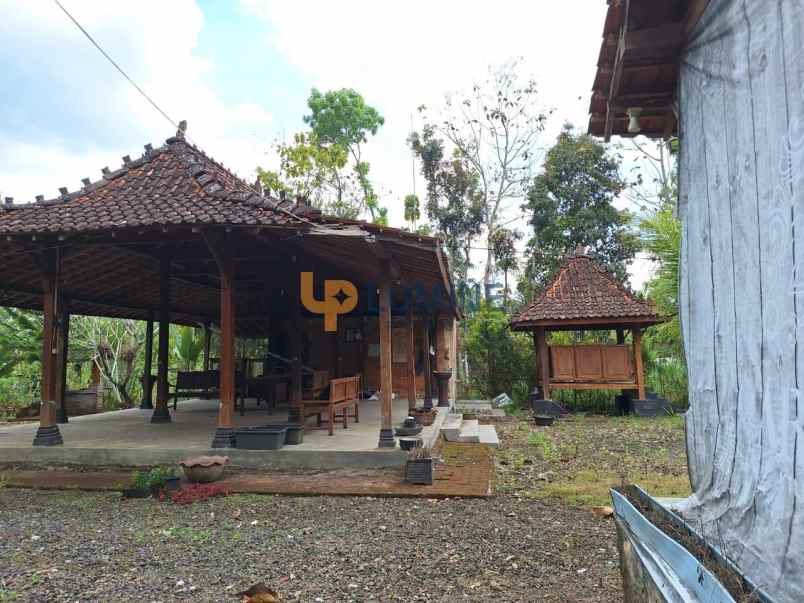 rumah semi villa joglo dengan kolam renang