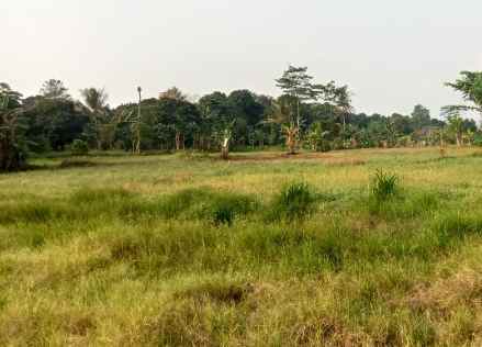 tanah 10 hektar cileungsi kab bogor