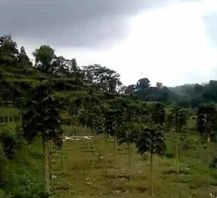 tanah batunya baturiti tabanan bali