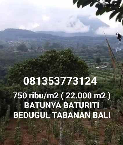 tanah batunya baturiti tabanan bali
