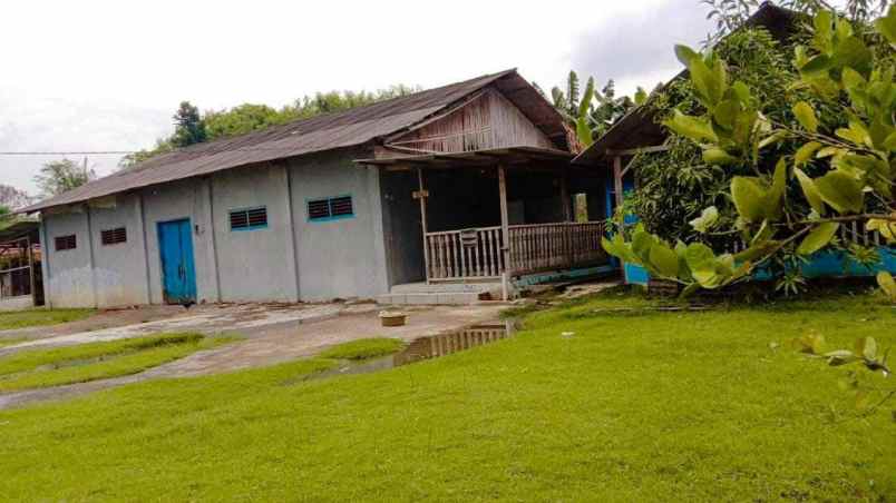 tanah dan desel padi di batujaya karawang