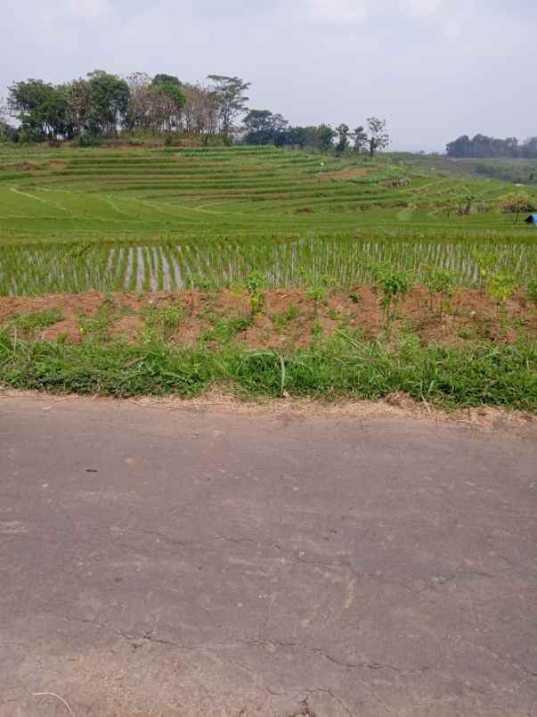 tanah datar 3416m view solo raya kerjo karanganyar