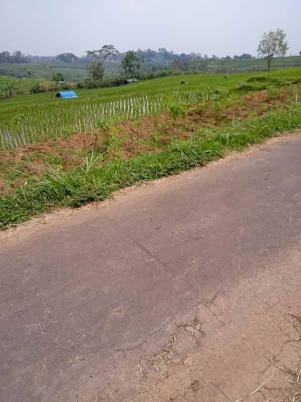 tanah datar 3416m view solo raya kerjo karanganyar