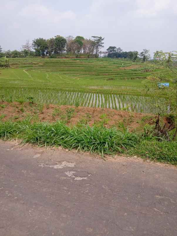 tanah datar 3416m view solo raya kerjo karanganyar