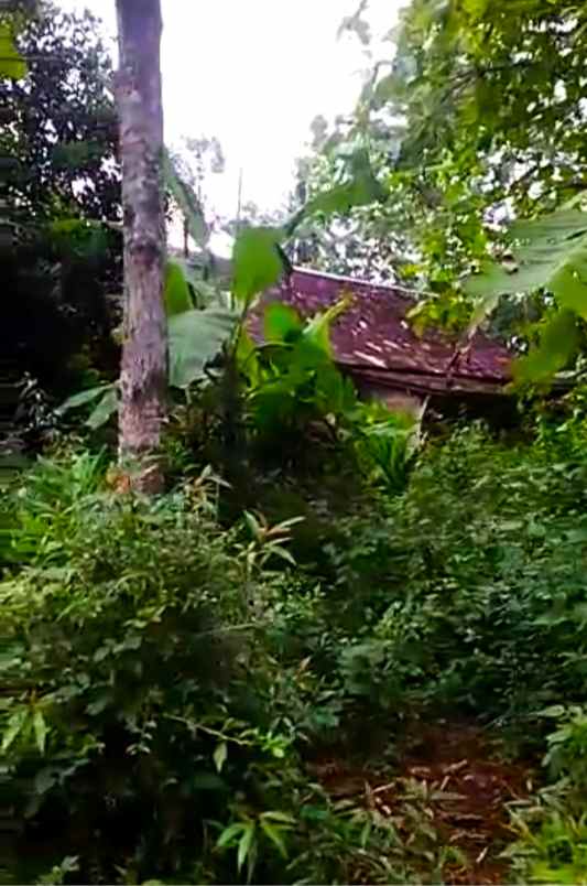 tanah desa kwangsan jumapolo