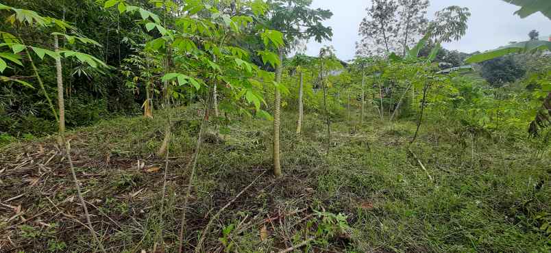 tanah desa mekar saluyu kampung