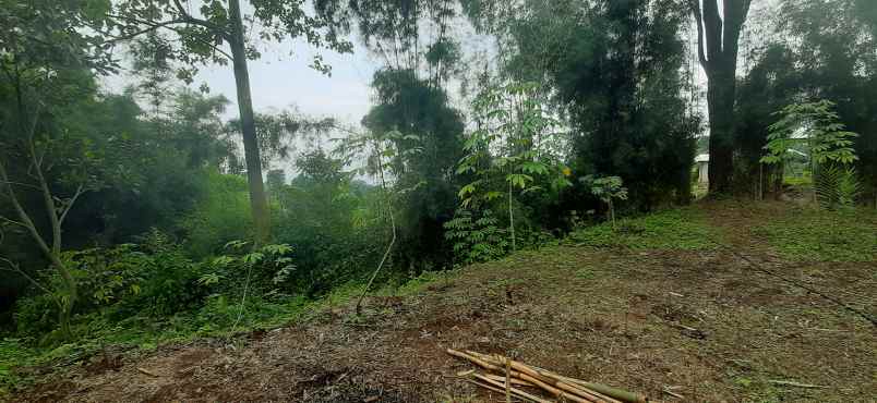 tanah desa mekar saluyu kampung