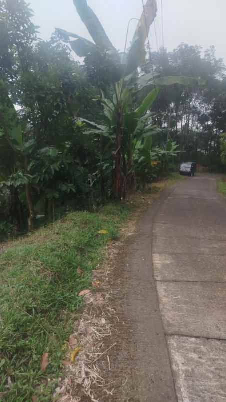 tanah desa peron limbangan kendal