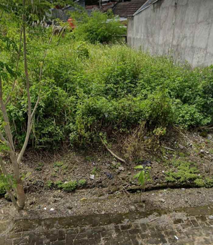 tanah dewi sartika sampangan semarang