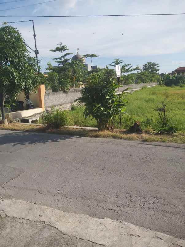 tanah dijual 2440m2 sumber solo muka 26m harga 5 jt m2