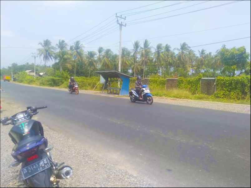 tanah jl labuan raya panimbang