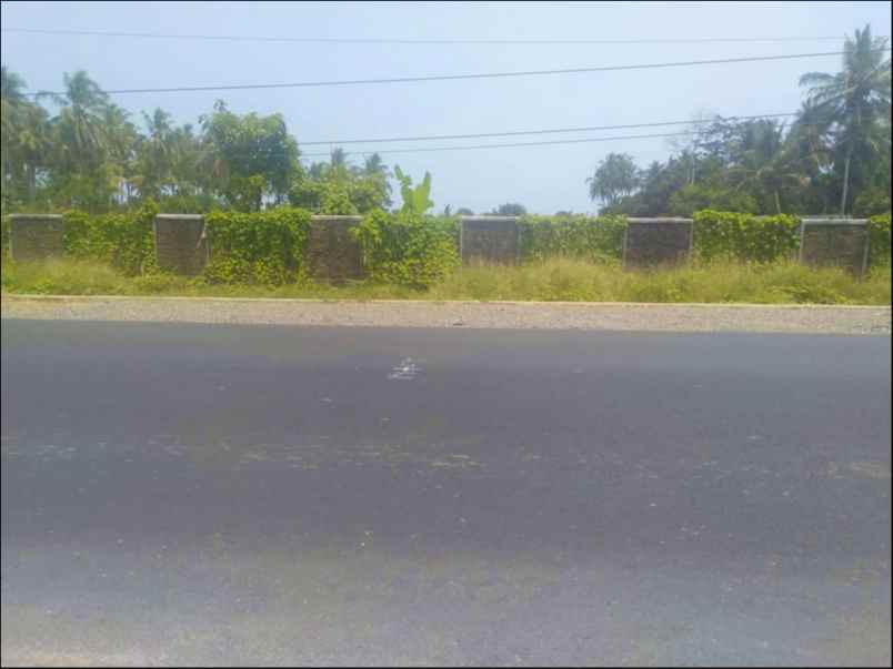 tanah jl labuan raya panimbang