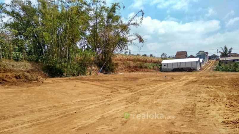 tanah jl locari precet