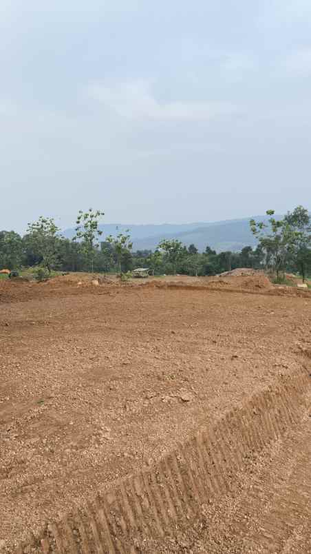 tanah kavling ludes terjual di sukamakmur bogor