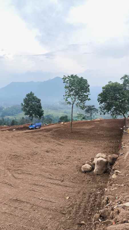 tanah kavling ludes terjual di sukamakmur bogor