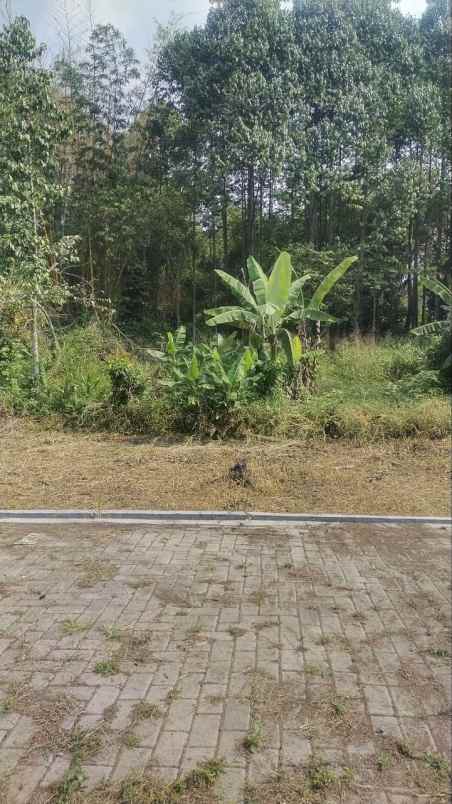 tanah kavling shm murah ciapus tamansari bogor