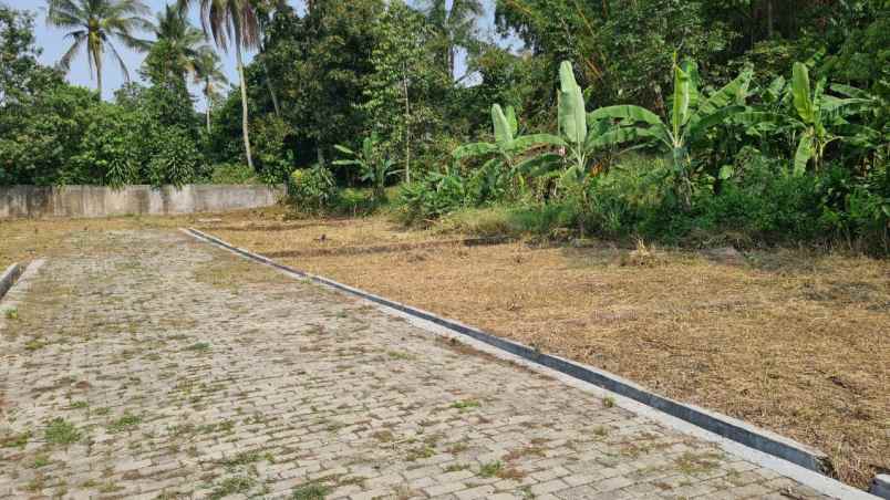 tanah kavling shm murah ciapus tamansari bogor