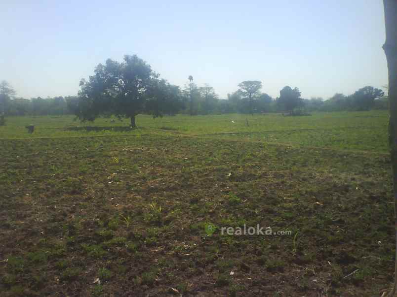 tanah kebonsari sukorejo pasuruan