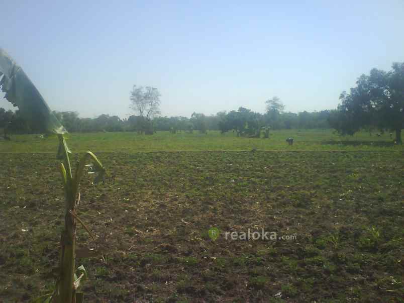 tanah kebonsari sukorejo pasuruan