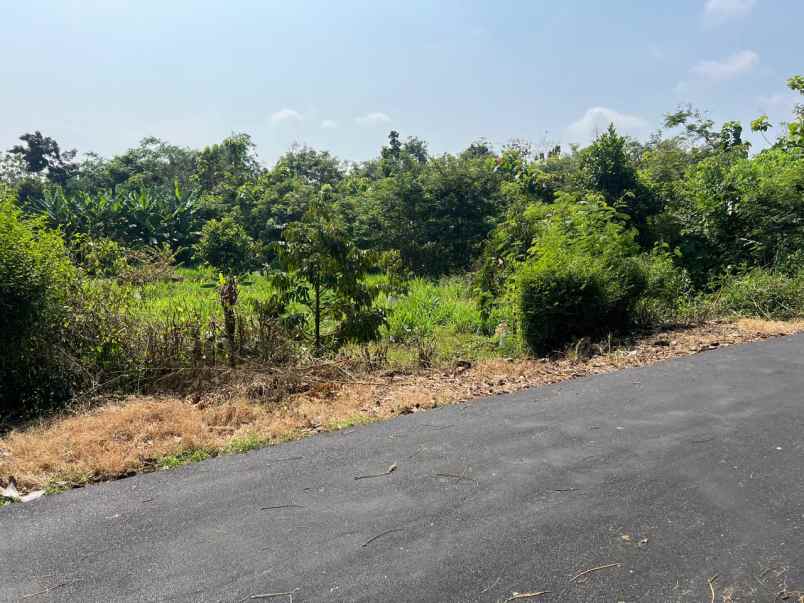 tanah kebun buah 2020m kedawung sragen