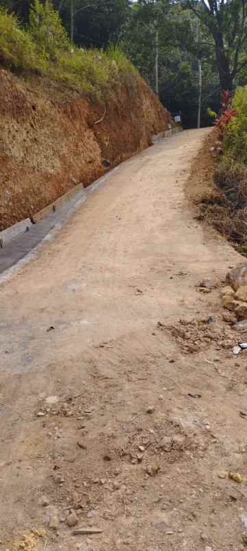 tanah lahan dijual 3 ha tawangmangu 775rb m2