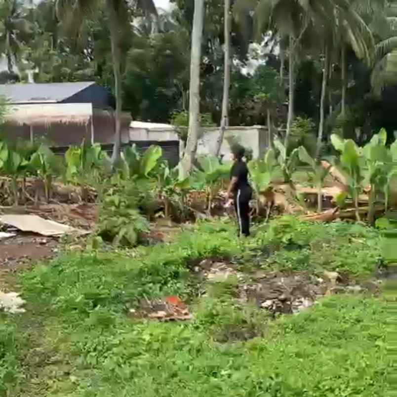 tanah murah harga nego 2 menit dari akmil magelang