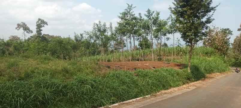 tanah murah shm pinggir jalan