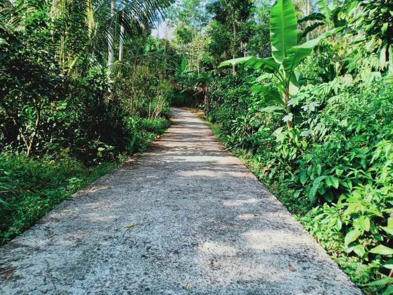 tanah ngargoyoso karanganyar