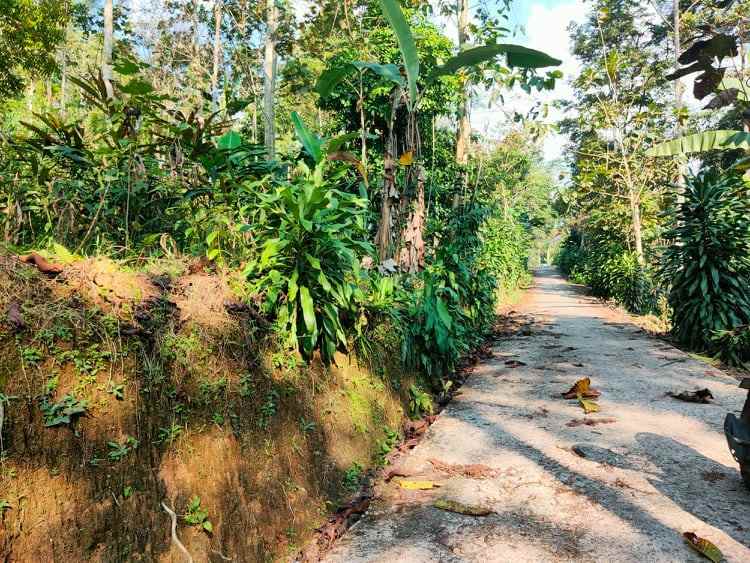 tanah ngargoyoso karanganyar