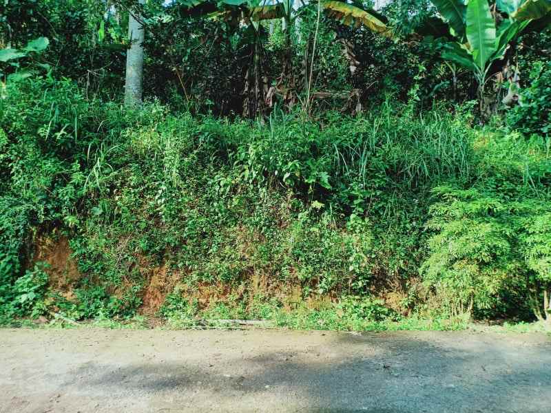 tanah ngargoyoso karanganyar