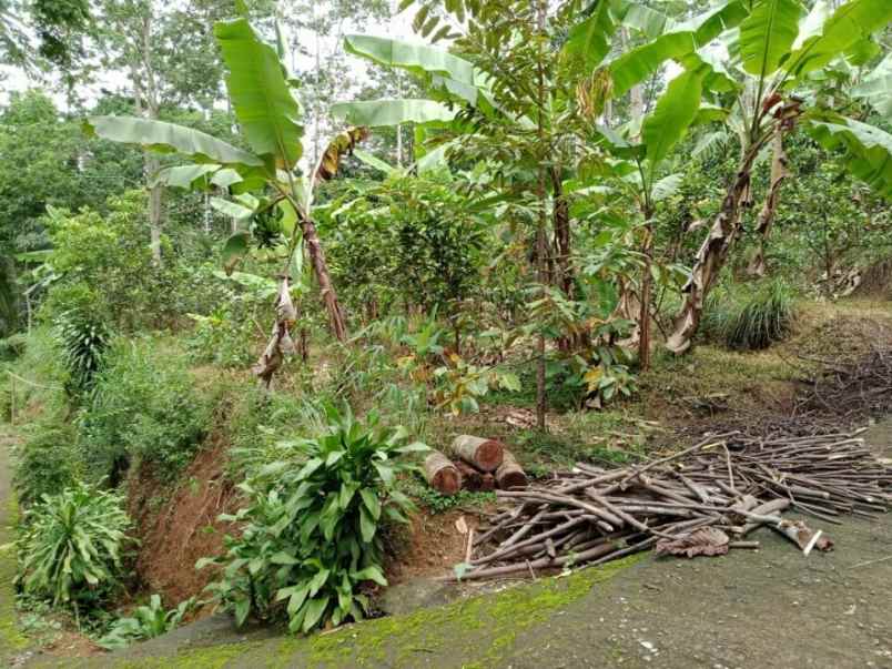 tanah ngargoyoso karanganyar