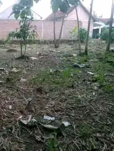 tanah pekarangan padat dan rata