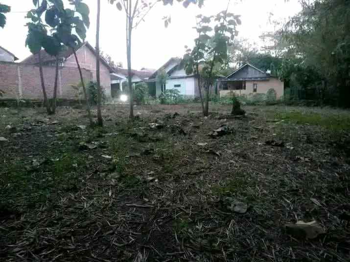 tanah pekarangan padat dan rata