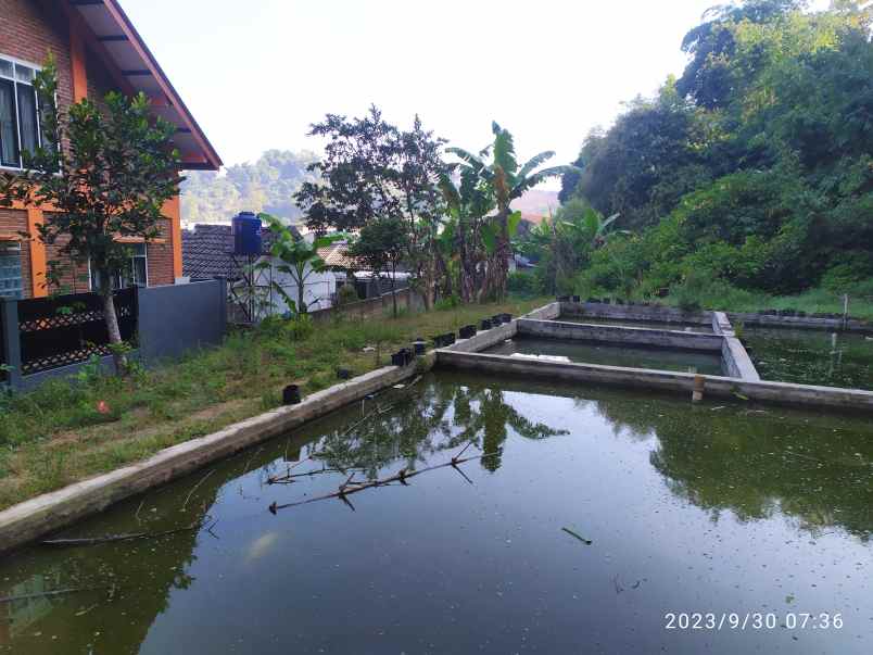 tanah siap bangun lokasi maribaya lembang