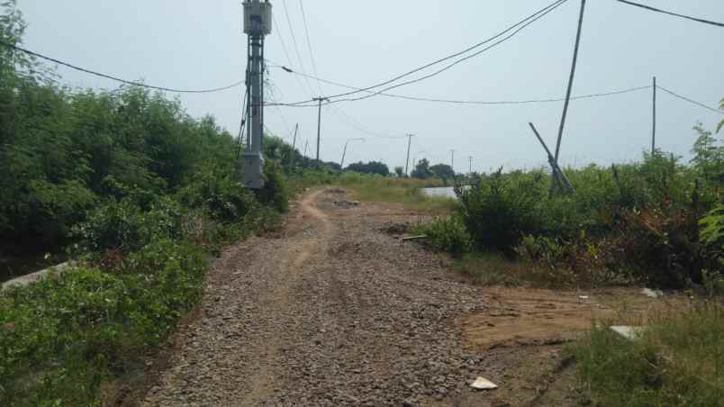 tanah tambak strategis dekat kota indramayu