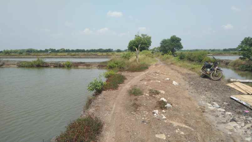 tanah tambak strategis dekat kota indramayu