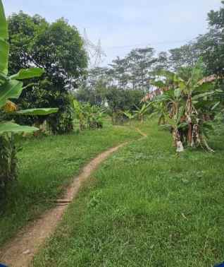 tanah tegal luas dekat dengan jalan raya