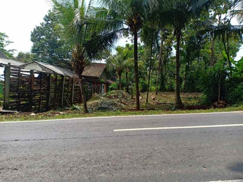 tanah tepi jl raya batujamus