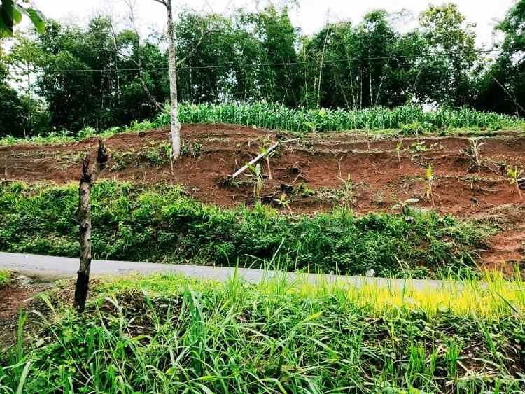 tanah tepi jl raya kerjo