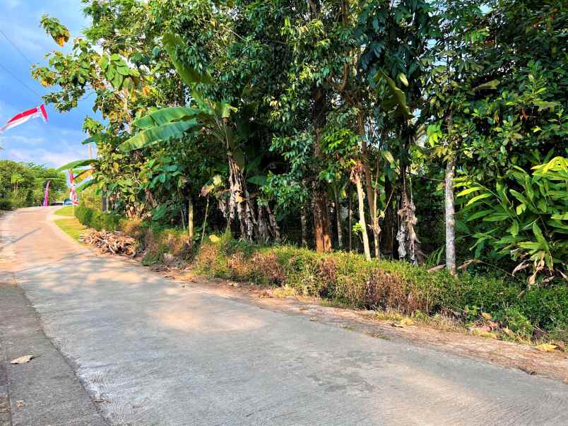 tanah timur kecamatan kerjo