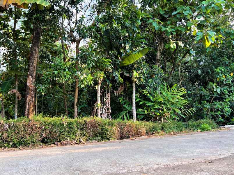 tanah timur kecamatan kerjo