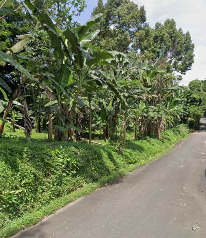 tanah view sawah di tegallalang ubud bali