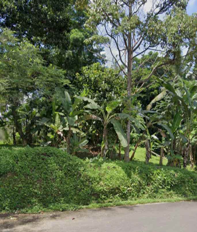 tanah view sawah di tegallalang ubud bali