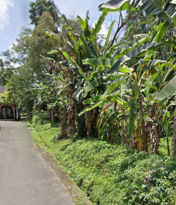 tanah view sawah di tegallalang ubud bali