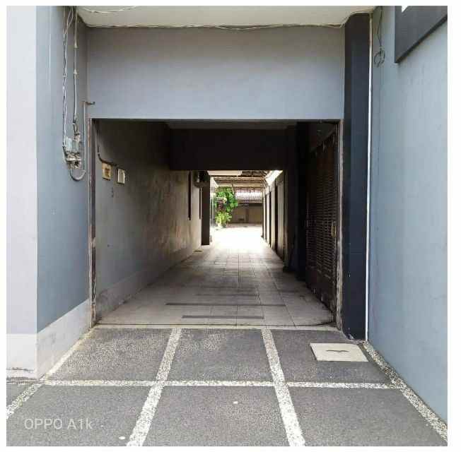 villa kelapa dia wetan