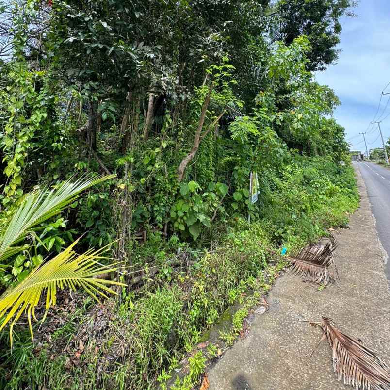 dijual 3 are jl pantai nyanyi beraban kediri tabanan