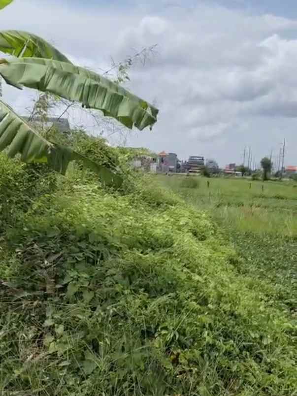 dijual 30 5 are jl tukad balian gg nuri renon denpasar