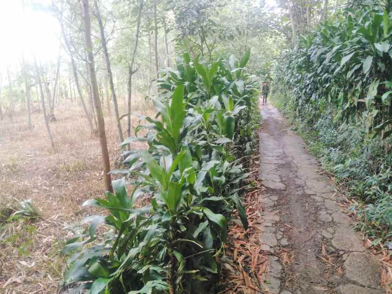 dijual cepat istimewa tanah khusus kavling2 gudang dll